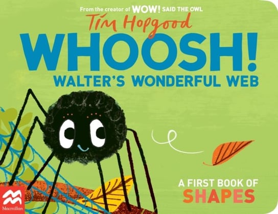 Whoosh! Walter's Wonderful Web: A First Book of Shapes Hopgood Tim
