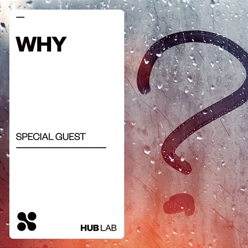 Why Special Guest
