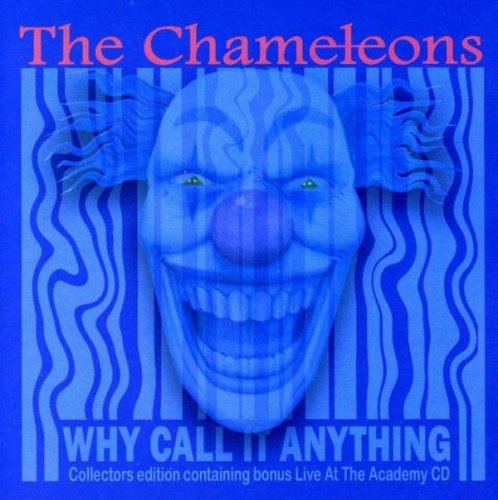 Why Call It Anything The Chameleons