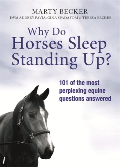 Why Do Horses Sleep Standing Up? Becker Marty