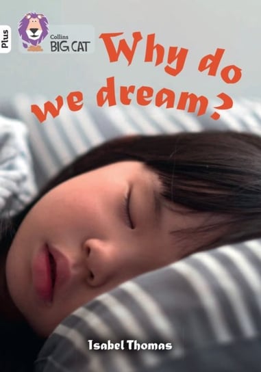 Why Do We Dream?: Band 10+White Plus Thomas Isabel