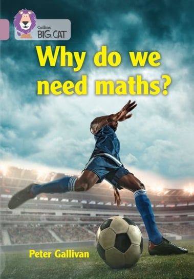 Why do we need maths?: Band 18/Pearl Peter Gallivan