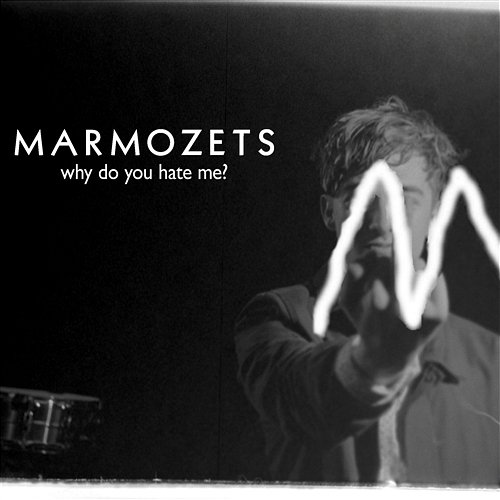 Why Do You Hate Me? Marmozets
