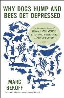 Why Dogs Hump and Bees Get Depressed Bekoff Marc