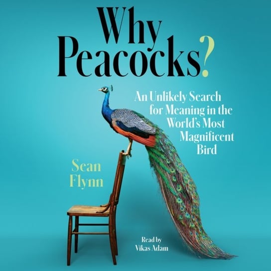 Why Peacocks? Sean Flynn
