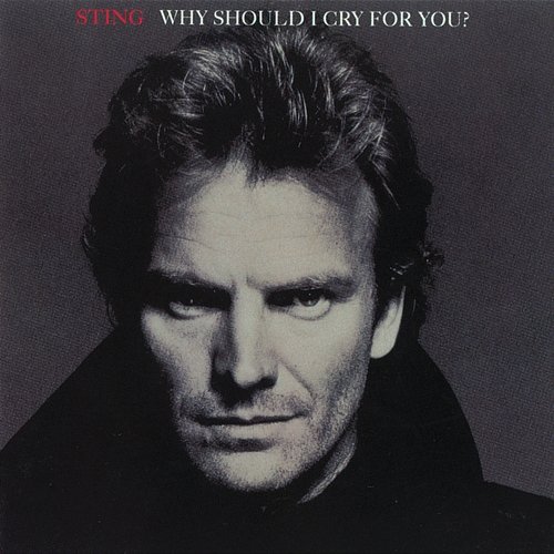 Why Should I Cry For You? Sting