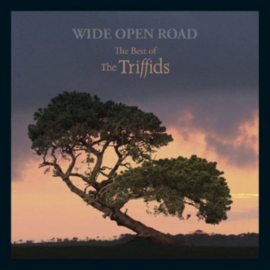 Wide Open Road The Best of The Triffids The Triffids