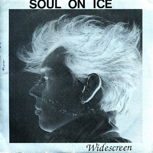 Widescreen Soul On Ice