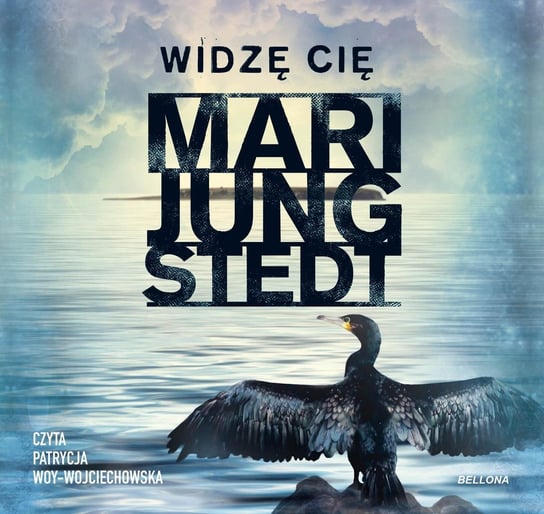 Widzę cię - audiobook Jungstedt Mari