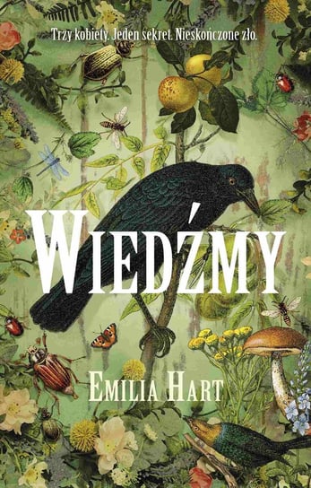 Wiedźmy - ebook epub Emilia Hart