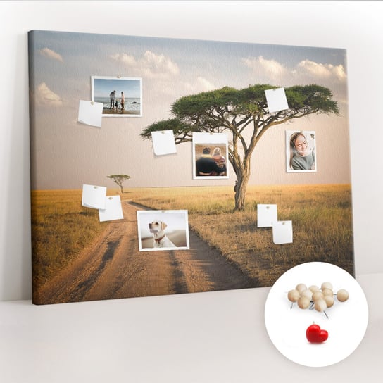 Wielka Tablica Korkowa 100x140 cm z grafiką - Krajobraz Afryki + Drewniane Pinezki Coloray