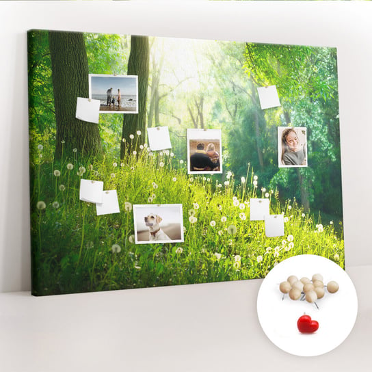 Wielka Tablica Korkowa 100x140 cm z grafiką - Natura wiosenna + Drewniane Pinezki Coloray