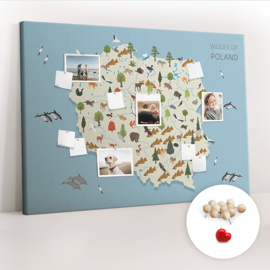 Wielka Tablica Korkowa 100x140 cm z grafiką - Polska Mapa zwierząt + Drewniane Pinezki Coloray