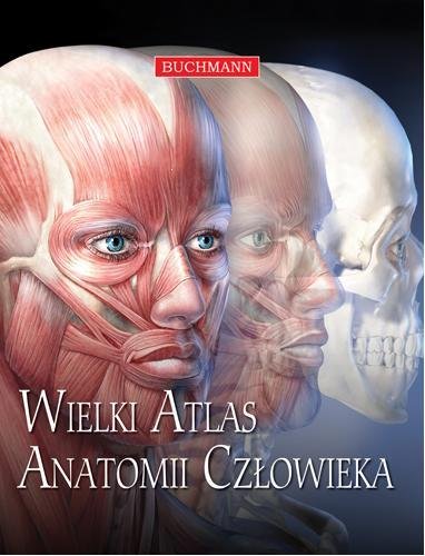 Wielki atlas anatomii człowieka Opracowanie zbiorowe