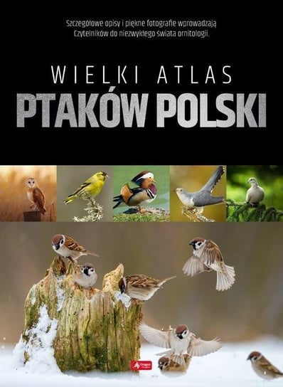Wielki atlas ptaków Polski Opracowanie zbiorowe