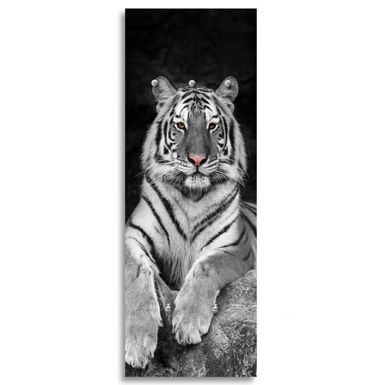 Wieszak FEEBY Tygrys, 30x90 cm Feeby