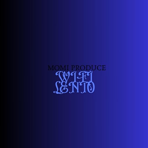 Wifi Lento Momi Produce
