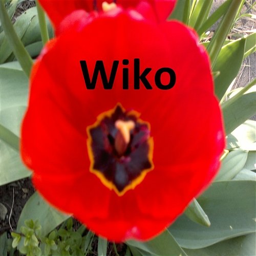 Wiktor ze Śląska Wiko