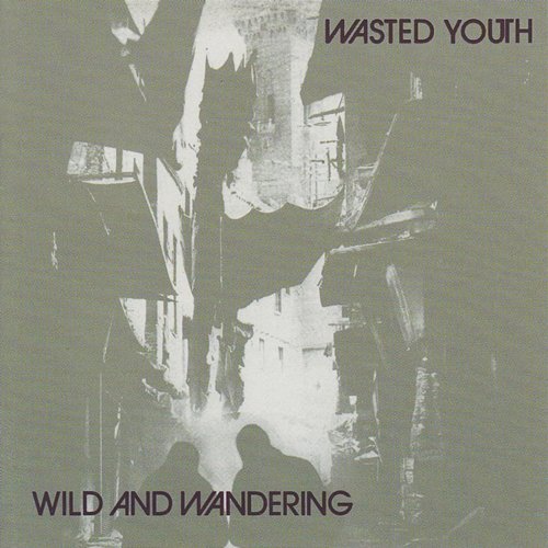 Wild And Wandering Wasted Youth