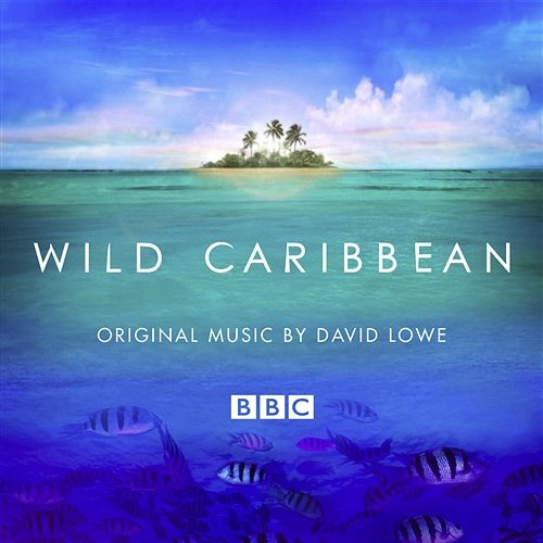 Wild Caribbean David Lowe