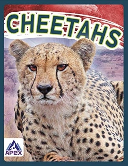 Wild Cats: Cheetahs Sophie Geister-Jones