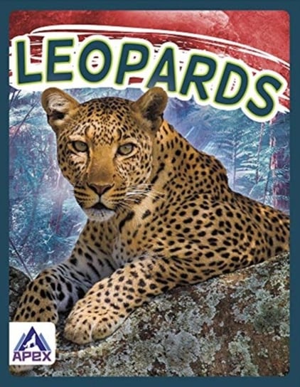 Wild Cats: Leopards Sophie Geister-Jones