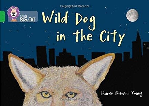 Wild Dog In The City Karen Romano