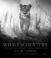 Wild Encounters Yarrow David