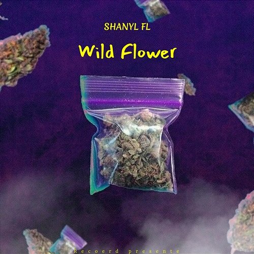 Wild Flower Shanyl FL