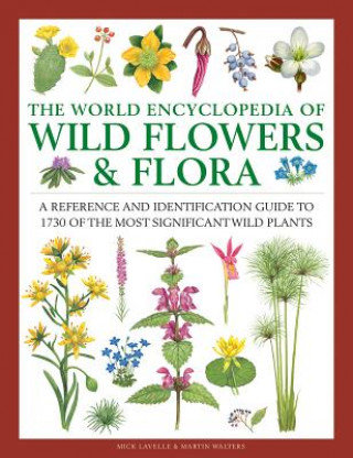Wild Flowers & Flora Mick Lavelle