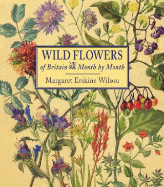 Wild Flowers of Britain Erskine Wilson Margaret
