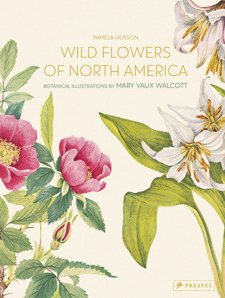 Wild Flowers of North America Prestel