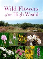 Wild Flowers of the High Weald Chris Clennett