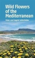 Wild Flowers of the Mediterranean Schonfelder Ingrid