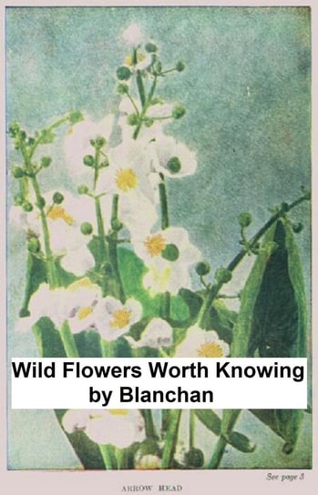 Wild Flowers Worth Knowing Neltje Blanchan