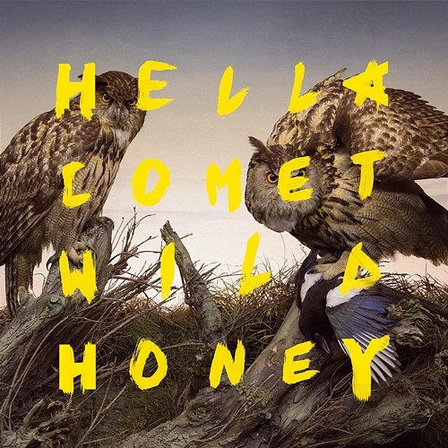 Wild Honey Hella Comet