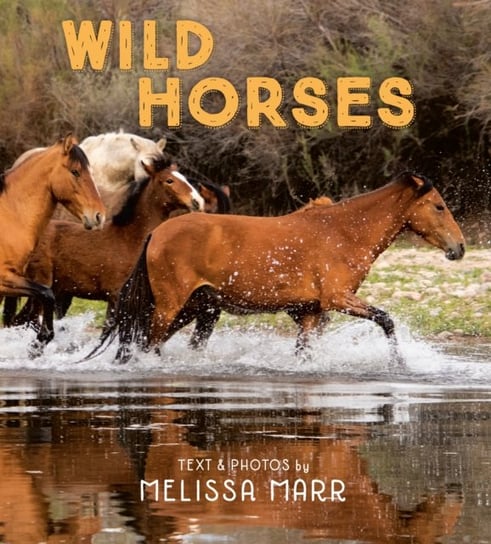 Wild Horses Marr Melissa