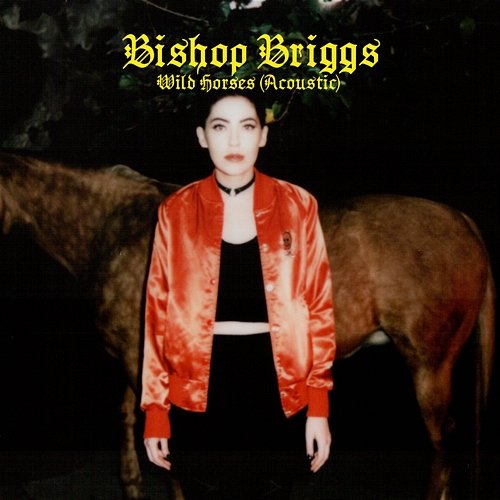 Wild Horses Bishop Briggs