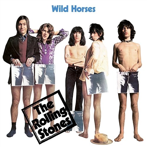 Wild Horses The Rolling Stones