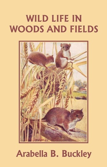 Wild Life in Woods and Fields (Yesterday's Classics) Buckley Arabella B.