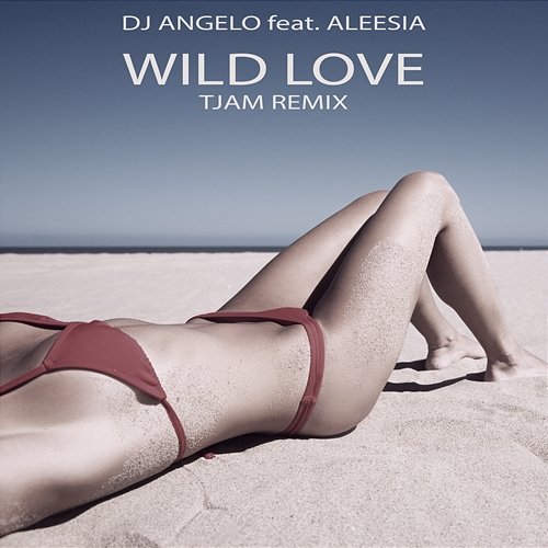 Wild Love DJ Angelo