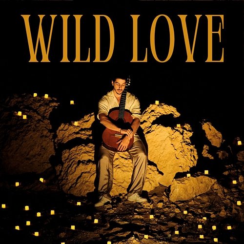 Wild Love Danny Aridi