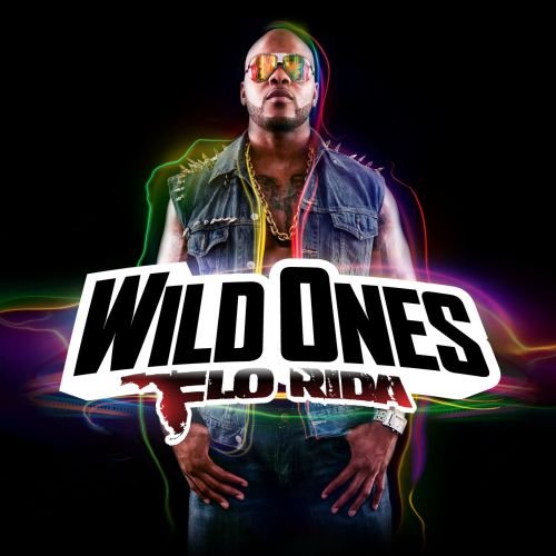 Wild Ones Flo Rida