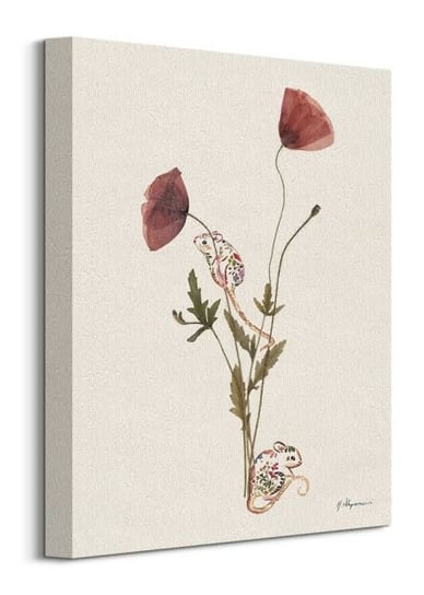 Wild Poppies - obraz na płótnie Art Group