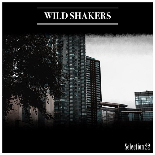 Wild Shakers Selection 22 Various Artists