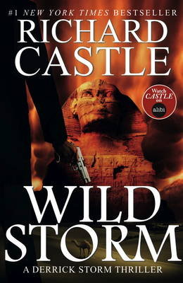 Wild Storm Castle Richard