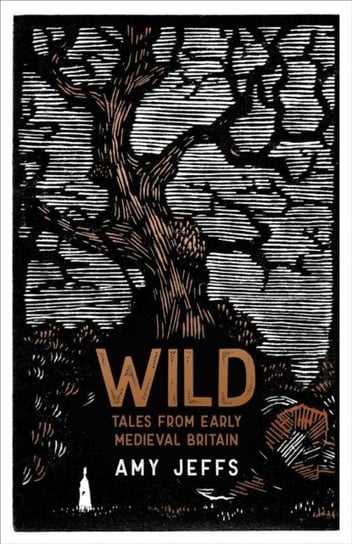 Wild: Tales from Early Medieval Britain Amy Jeffs