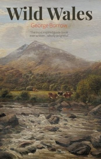 Wild Wales George Borrow