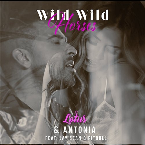 Wild Wild Horses Lotus, Antonia feat. Jay Sean, Pitbull