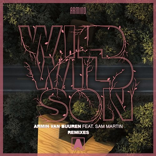 Wild Wild Son Armin van Buuren feat. Sam Martin